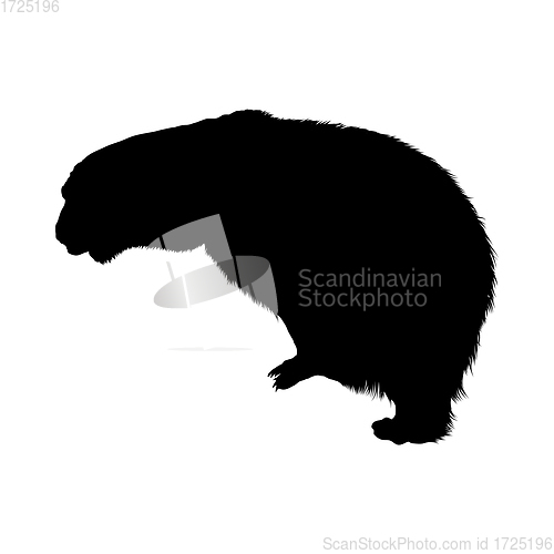 Image of Polar Bear Silhouette