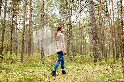 Image of asian woman picking mushrooms in autumn forest