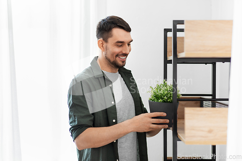 Image of man decorating home with flower or houseplant