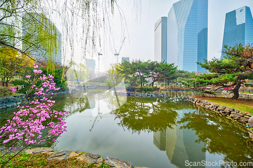 Image of Yeouido Park in Seoul, Korea