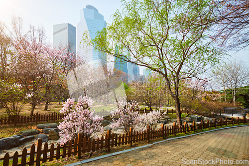 Image of Yeouido Park in Seoul, Korea