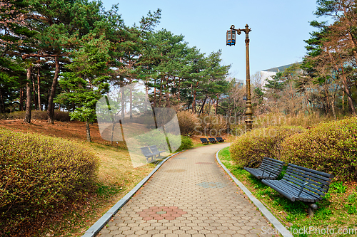 Image of Yeouido Park in Seoul, Korea