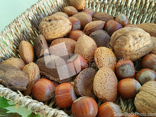 Image of Mix of different types nuts close-up 