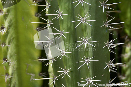 Image of Guadeloupe, French Antilles