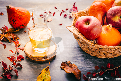 Image of Autumn composition with pumpkins, autumn leaves, red apples and apple cider