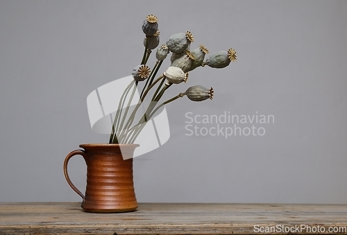 Image of dried poppy seed heads in a ceramic vase
