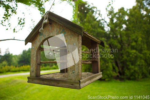 Image of Feeders for birds in the city park