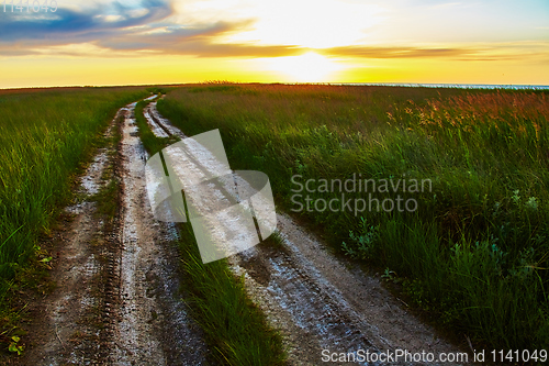 Image of Landscape with rut road in steppe