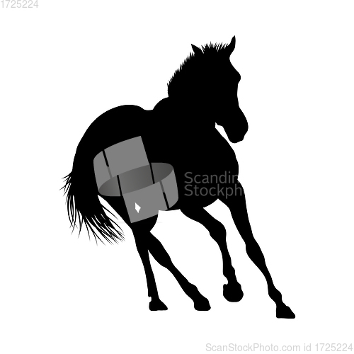 Image of Horse Silhouette