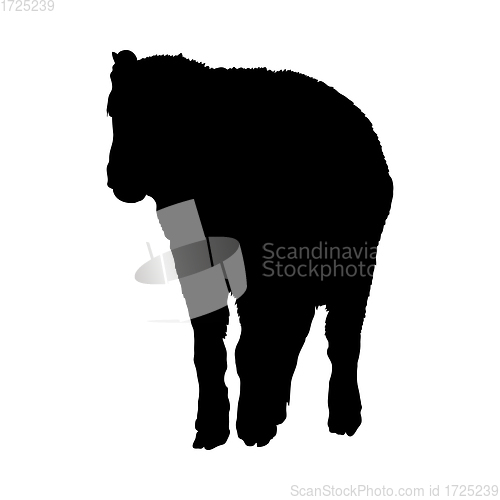 Image of Bison Silhouette