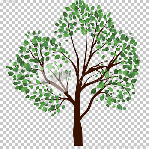 Image of Summer tree