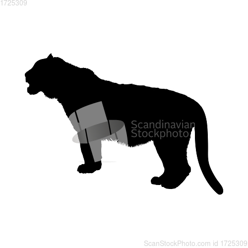 Image of Tiger Silhouette