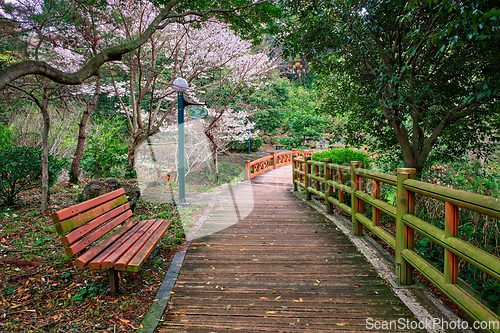 Image of Jeju Olle Trail, Jeju Island, South Korea