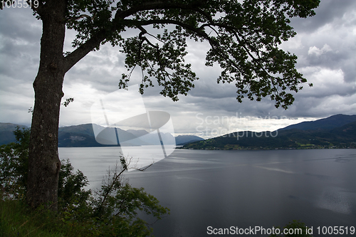 Image of Hardangerfjord, Hordaland, Norway