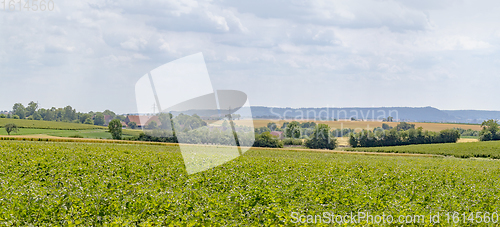 Image of agricultural scenery in Hohenlohe