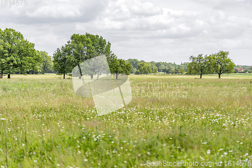 Image of rural scenery in Hohenlohe