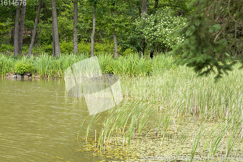 Image of sunny lake scenery