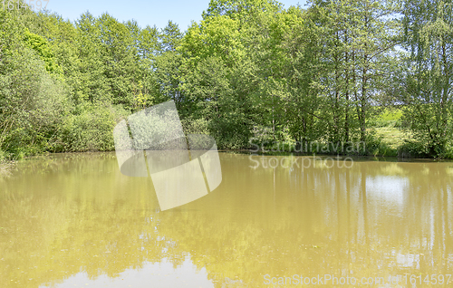 Image of sunny lake scenery