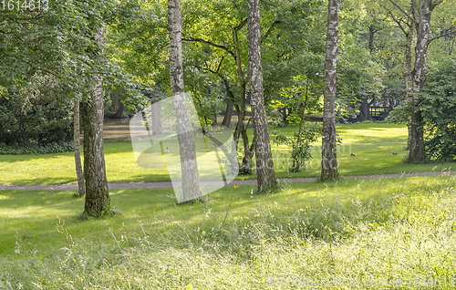 Image of idyllic park scenery