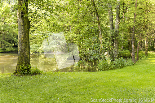 Image of idyllic park scenery