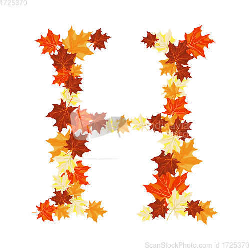 Image of Autumn Maples Leaves Letter