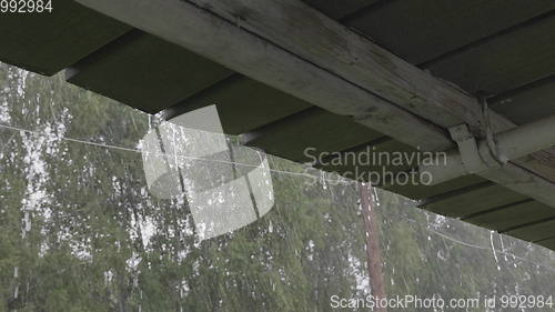 Image of Heavy rain shower in the sunshine of springtime or summer nature