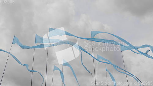 Image of Blue flags fluttering in the wind, against a background of green grass