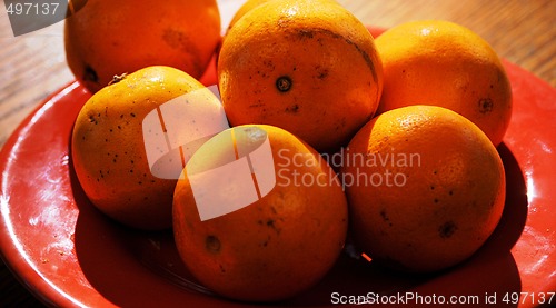 Image of Oranges