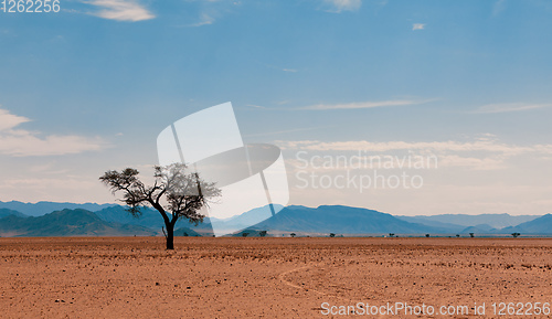 Image of Namib desert, Namibia Africa landscape