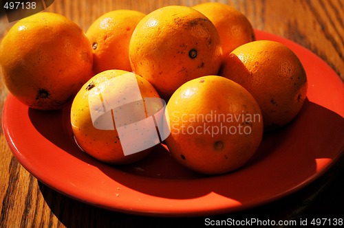 Image of Oranges on a plate