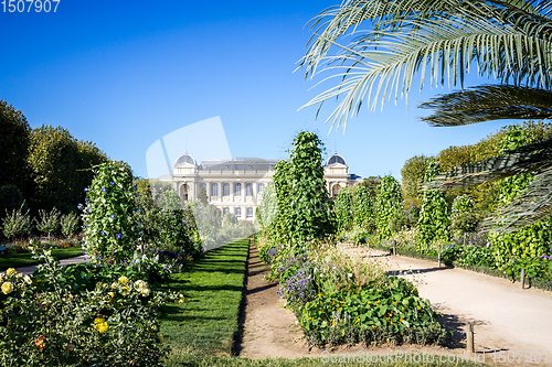 Image of Jardin des plantes Park and museum, Paris, France