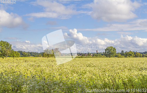 Image of rural scenery in Hohenlohe