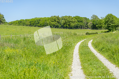 Image of idyllic rural scenery