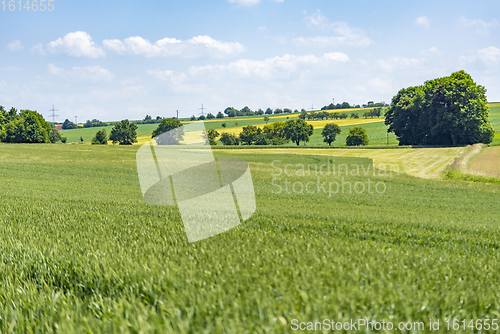 Image of rural scenery in Hohenlohe