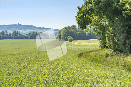 Image of rural scenery in Hohenlohe