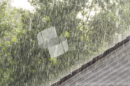 Image of downpour scenery