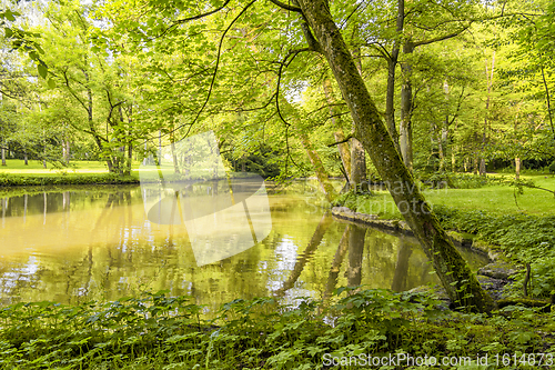 Image of idyllic park scenery