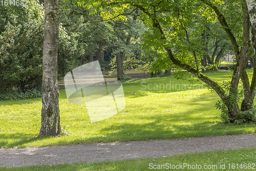 Image of idyllic park scenery