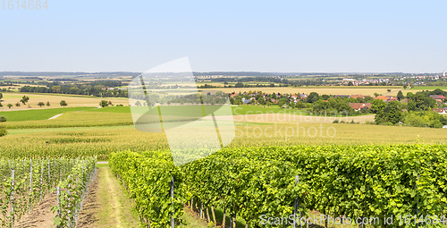 Image of winegrowing scenery in Hohenlohe