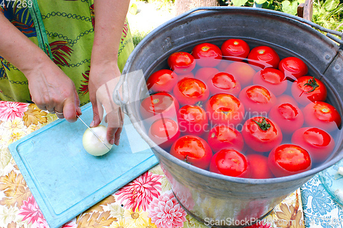 Image of woman slices horseradish for preservation of tomatoes