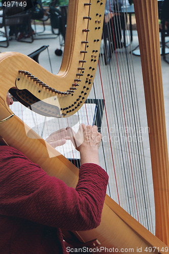 Image of Hands on a harp