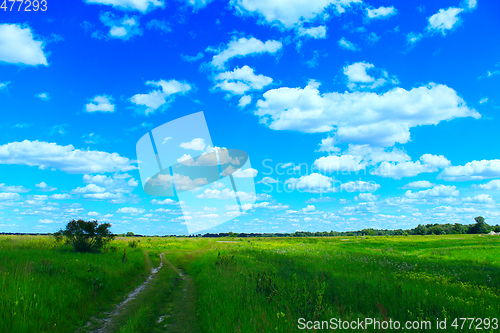 Image of Country road in the summer field with white clouds