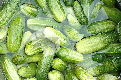 Image of cucumbers soaked for conservation