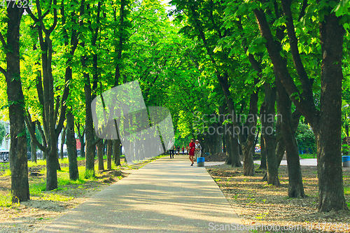 Image of People have a rest in park with big trees