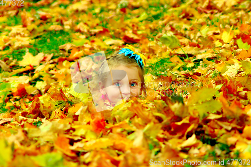 Image of little girl hide herself in yellow leaves in the park