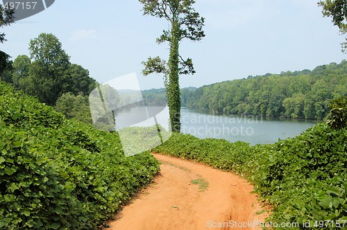 Image of Along the river