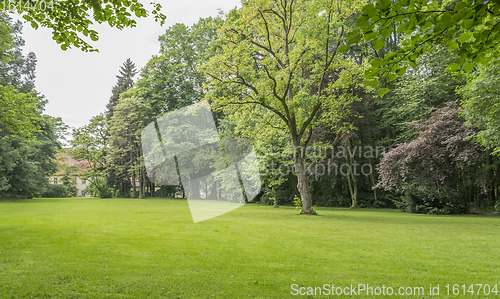 Image of idyllic park scenery