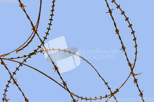 Image of barbed wire detail