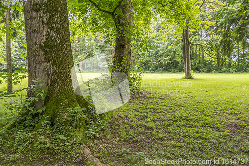 Image of idyllic park scenery