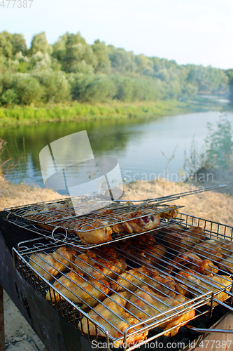 Image of barbecue from chicken 's meat cooked in the nature